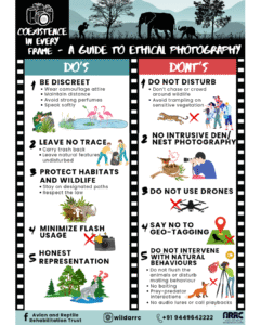 Ethical photography